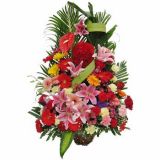 ϳʻٵ